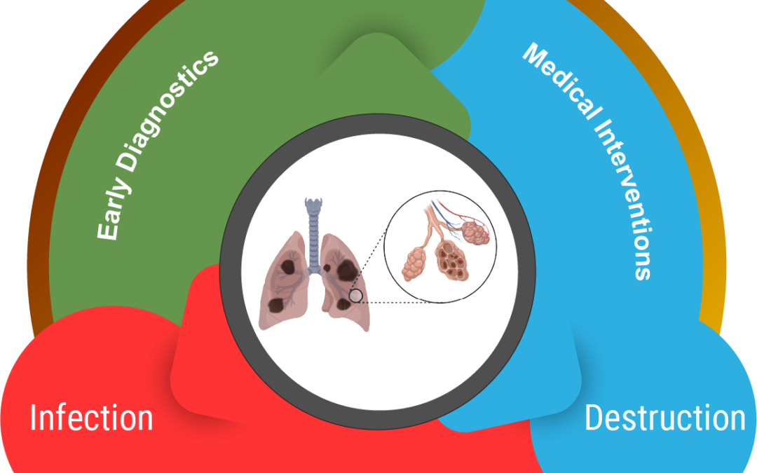 Mechanisms of Nanocarbon Black and RSV mediated inflammation in COPD using human airway Organoid model.