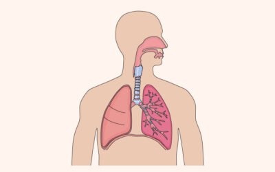 Engineering Patient-Specific Airway Organoids for Precision Medicine