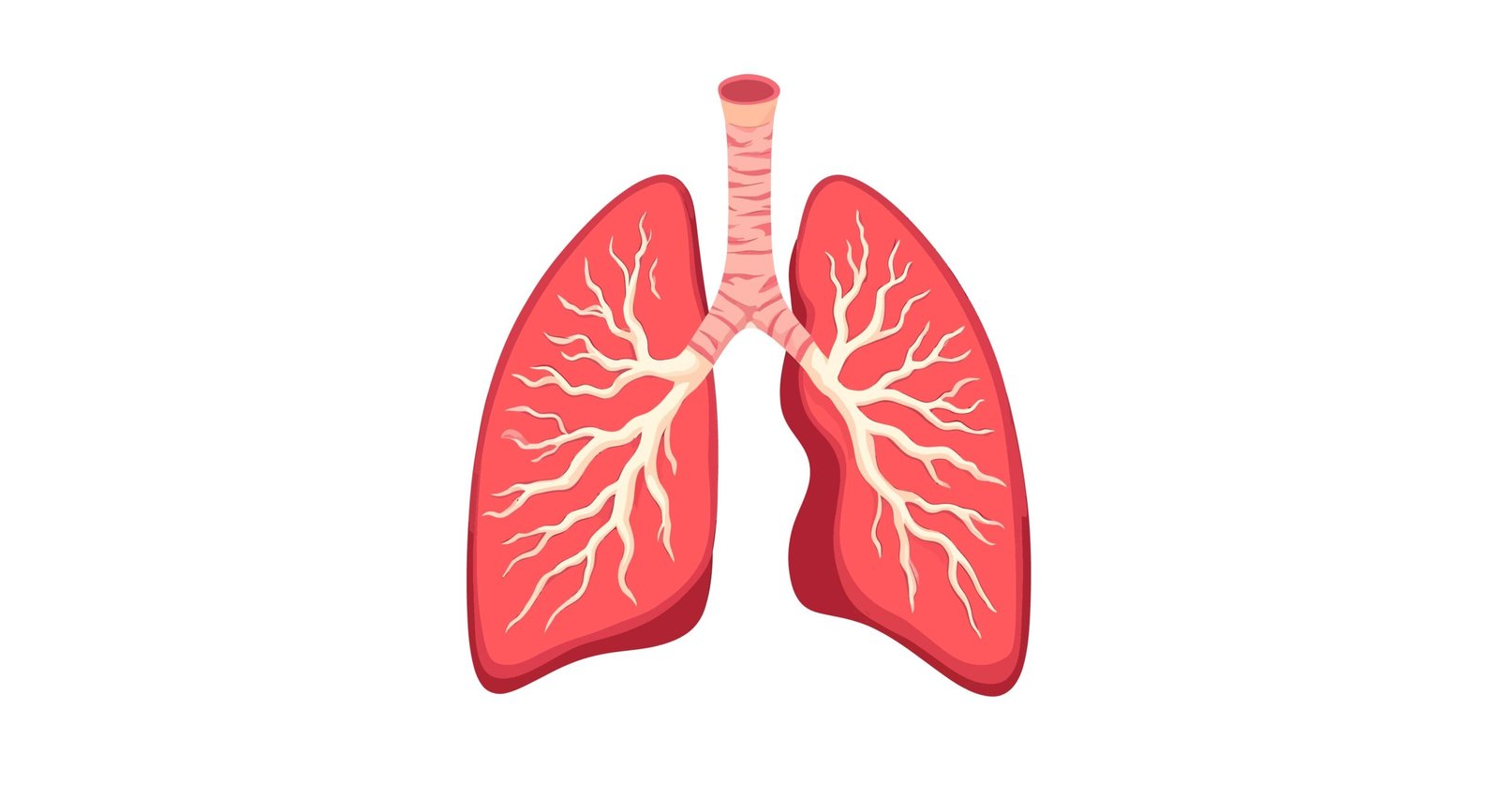 Understanding RSV’s Role in Lung Health